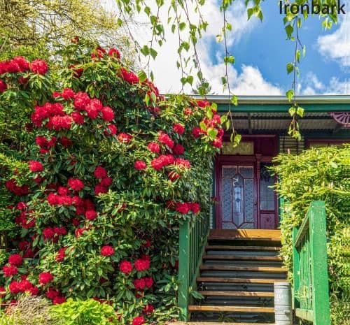 Ironbark Cottage