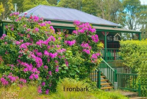 Ironbark Cottage
