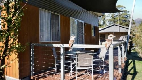 BIG4 NRMA Halls Gap Holiday Park3