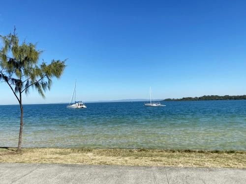 Bird Song1