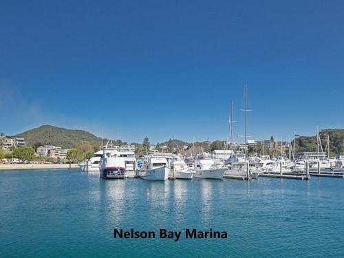 12 'Thurlow Lodge', 6 Thurlow Avenue - water views, pool and central location2
