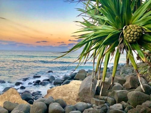 Hideaway Noosa Men Only Beach Resort1