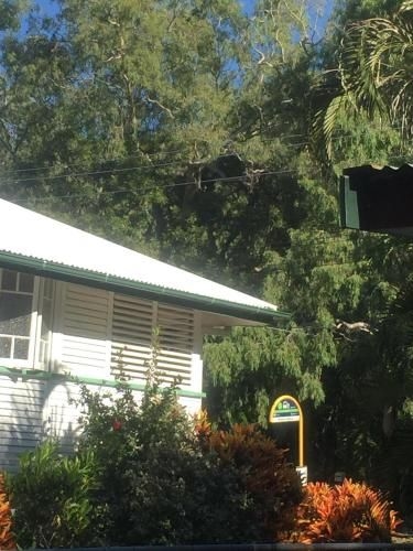 Daggoombah Holiday Home Magnetic Island2