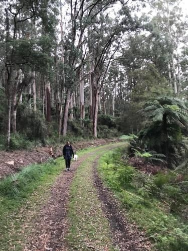 Warburton Holiday House1