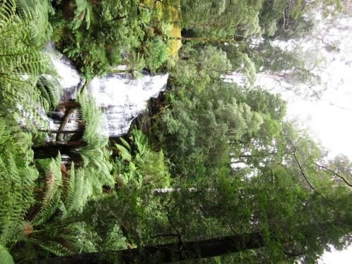 Johanna River Farm & Cottages4