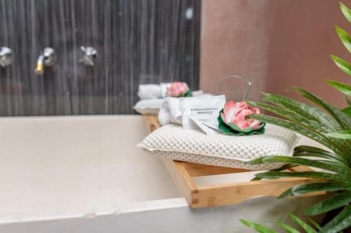 Zen Garden Apartment