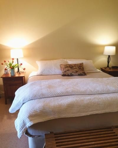 Byronsvale Vineyard and Accommodation4