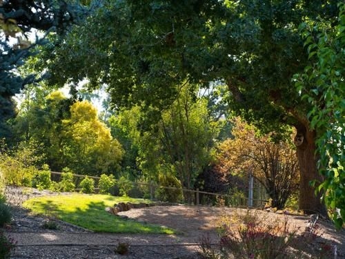 Greenlands2