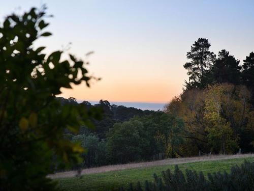 Mount Olive4
