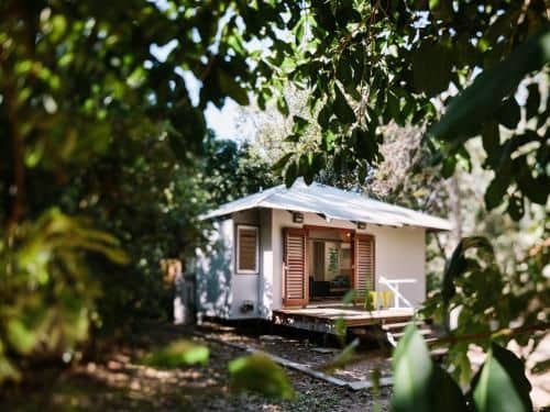 The Little Bush Hut The Little Bush Hut