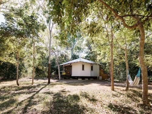 The Little Bush Hut2