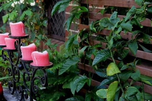 Bed and Breakfast in Perth4