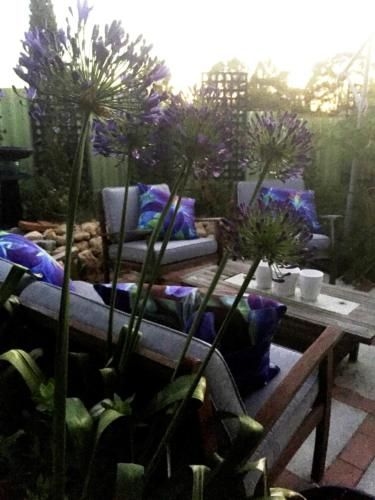 Bed and Breakfast in Perth2