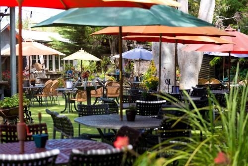 Oakdene Vineyards Guesthouse0