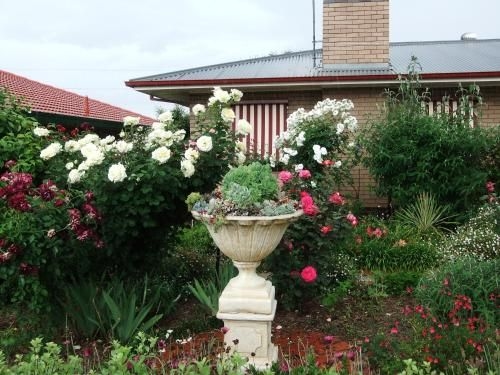 Admurraya House Bed & Breakfast3