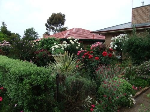Admurraya House Bed & Breakfast4