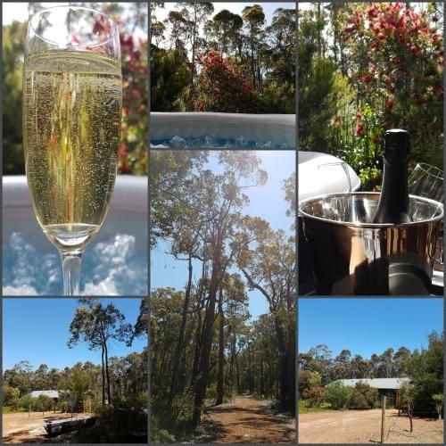 Jarrah Grove Forest Retreat1
