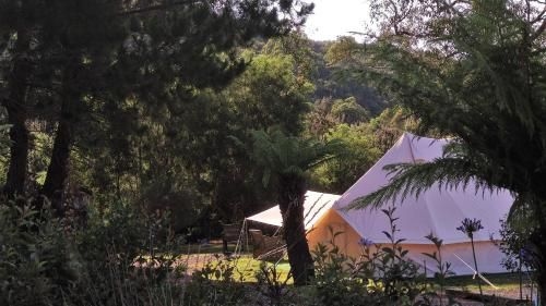 Glamping at Zeehan Bush Camp0