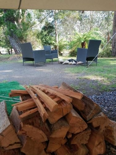 Glamping at Zeehan Bush Camp1