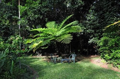 Cow Bay Homestay B&B1