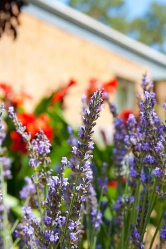 Brayfield Cottage4