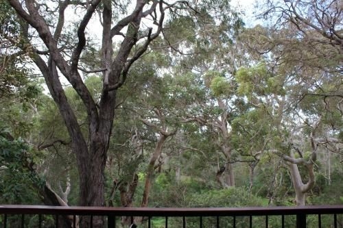 Karriview Margaret River3