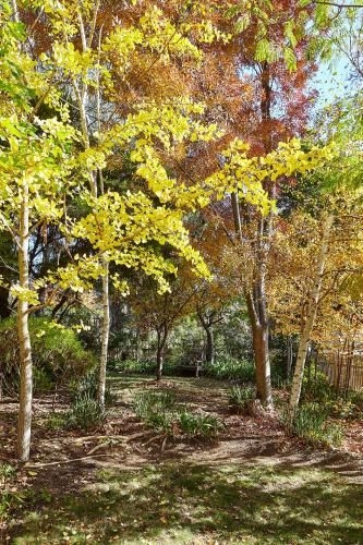 Tiffany's Cottages (Tiffany's Country Cottages)3