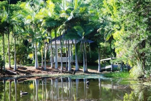 Wollumbin Palms Rainforest Retreat4