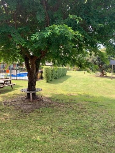 Alexandra Motor Inn - Victoria Aus1