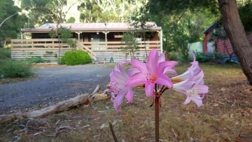 Ellimata Holiday Cottage3
