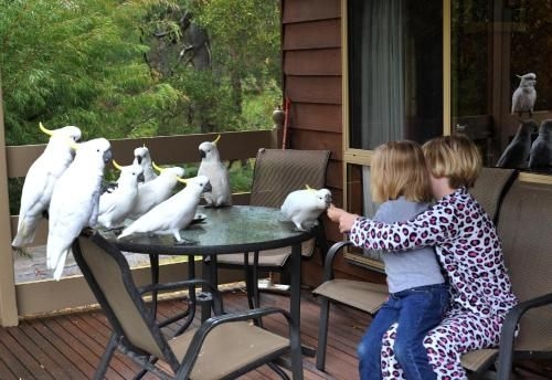 Ellimata Holiday Cottage4