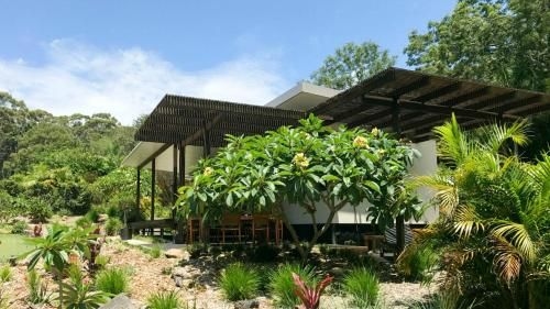 Lily Pad at Byron Bay4