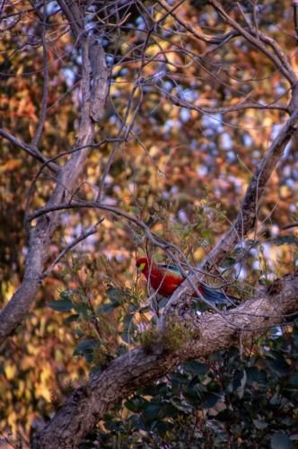 Margaret River Chalets2