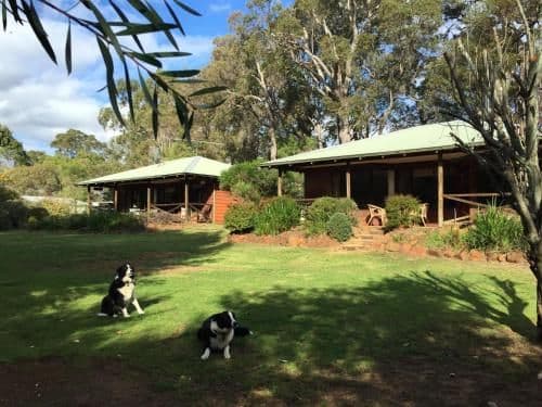 Two-Bedroom Chalet - Blue Wren