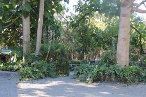 Avoca Park Avoca Park