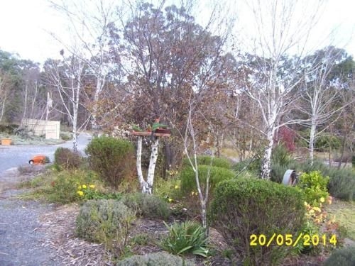 Windswept Country Retreat4