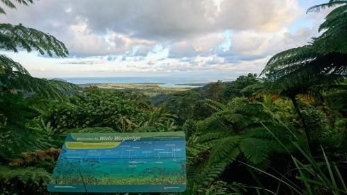 Daintree Peaks ECO Stays2