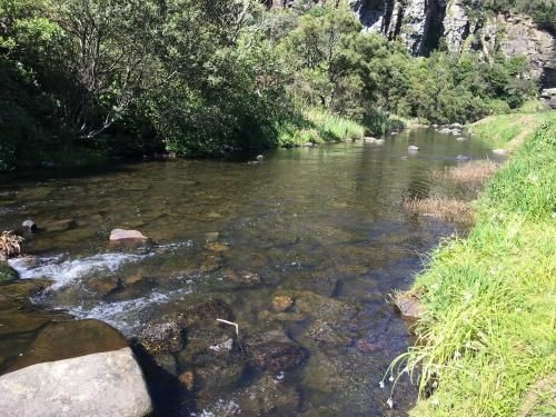 Cumberland River Holiday Park4