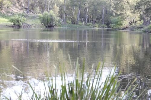 Arcadian Cabin - Southern Highlands River Retreat0