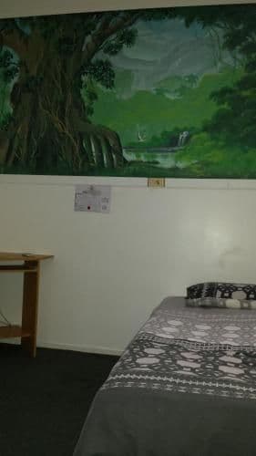 Budget Single Room
