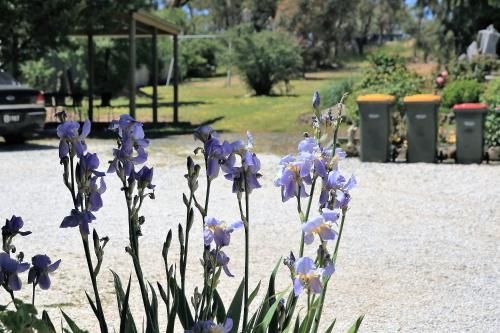 Wattle Grove Motel Maryborough2