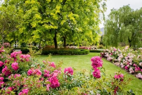 Lakeside Cottage Luxury B&B3