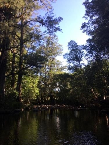 Amaroo Valley Springs4