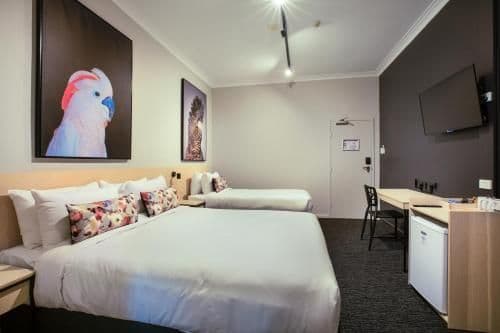 Studio with Queen and Single Bed