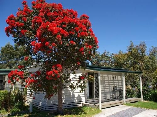 Beauty Point Tourist Park4