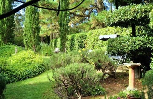 Two-Bedroom Cottage with Garden View - Southdown