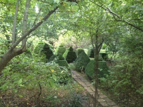 Two-Bedroom Cottage with Garden View - Southdown