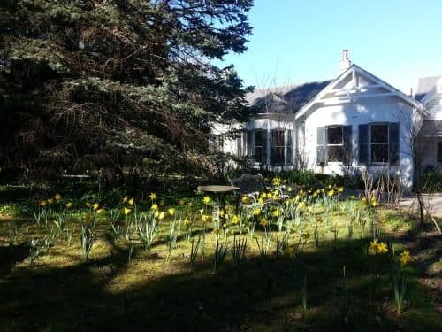 Two-Bedroom Cottage with Garden View - Southdown