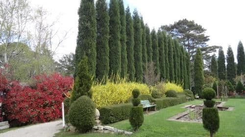 Two-Bedroom Cottage with Garden View - Southdown