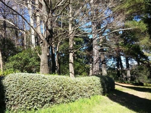 Two-Bedroom Cottage with Garden View - Southdown